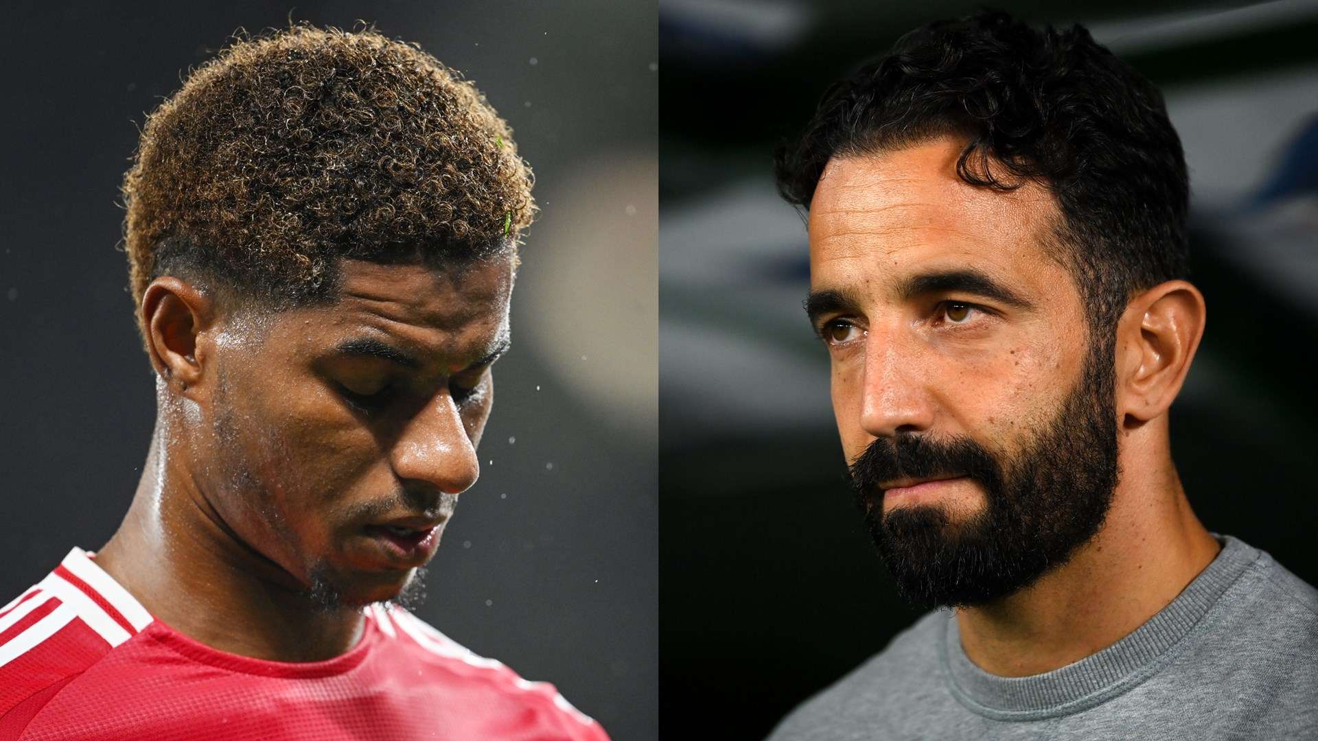 发展趋势及 发展趋势及