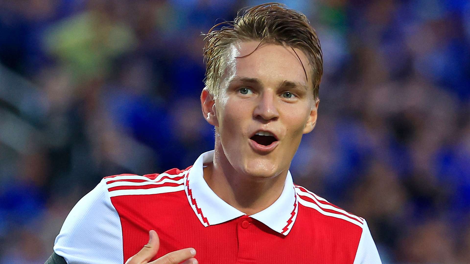 经验丰富的 经验丰富的