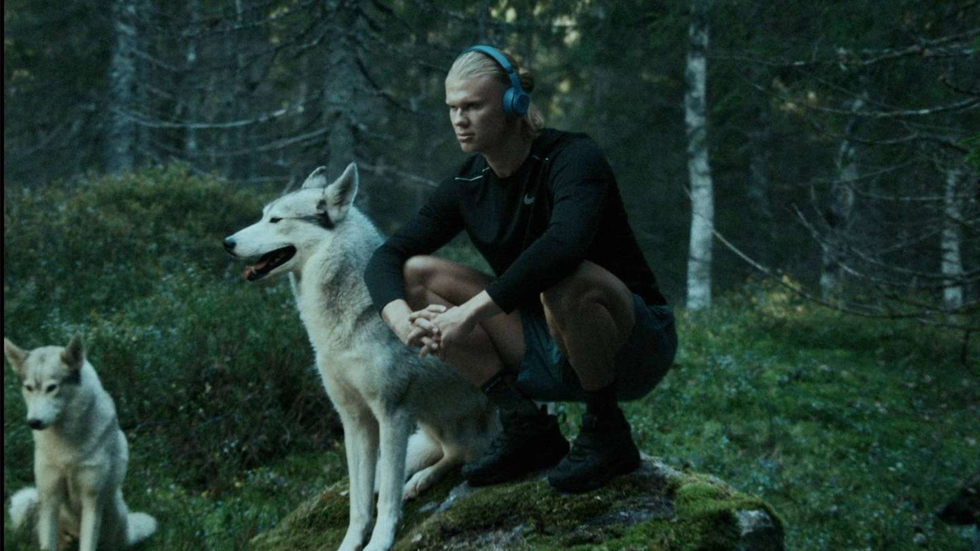 尽量将比赛 尽量将比赛